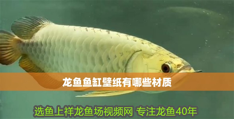 龍魚魚缸壁紙有哪些材質(zhì)