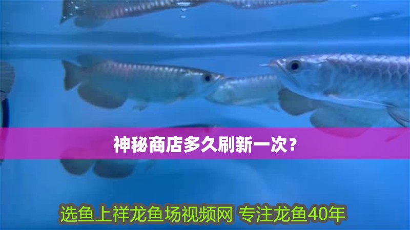 神秘商店多久刷新一次？