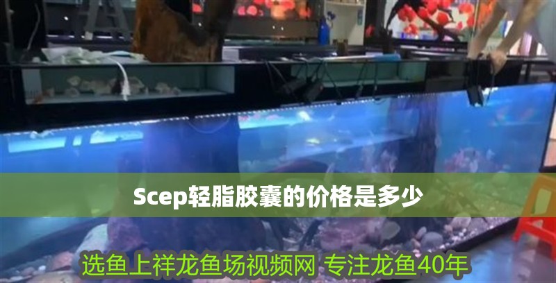 Scep輕脂膠囊的價格是多少