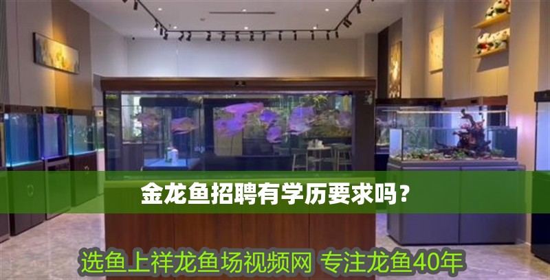 金龍魚招聘有學(xué)歷要求嗎？