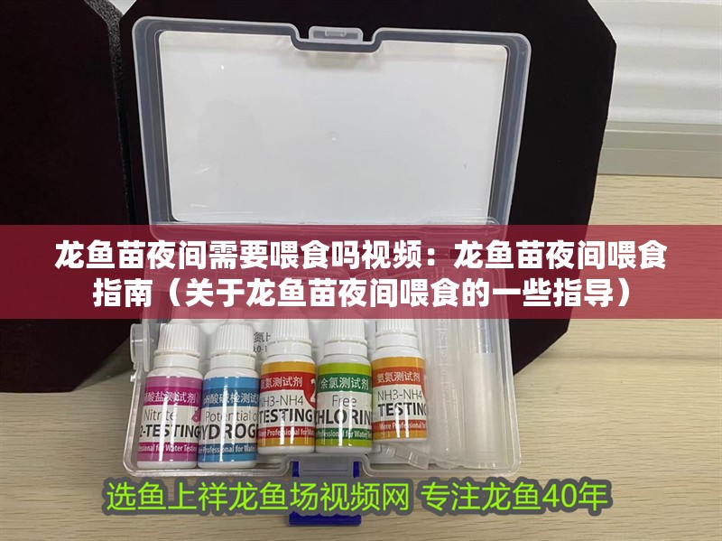 龍魚苗夜間需要喂食嗎視頻：龍魚苗夜間喂食指南（關于龍魚苗夜間喂食的一些指導）