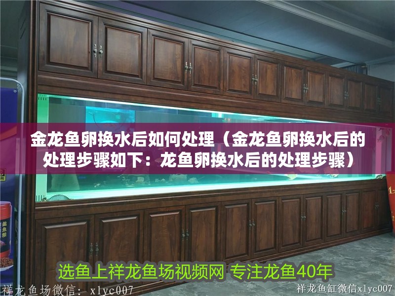 金龍魚卵換水后如何處理（金龍魚卵換水后的處理步驟如下：龍魚卵換水后的處理步驟）