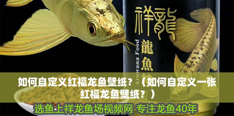 如何自定義紅福龍魚壁紙？（如何自定義一張紅福龍魚壁紙？）