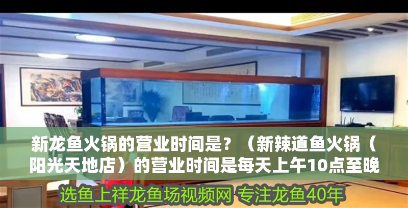 新龍魚火鍋的營業時間是？（新辣道魚火鍋（陽光天地店）的營業時間是每天上午10點至晚上）