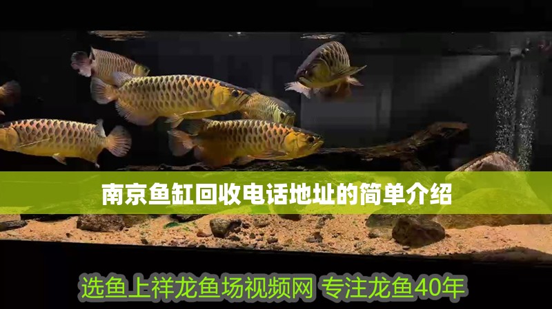 南京魚缸回收電話地址的簡單介紹