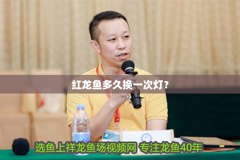 魚缸用增氧泵價格是多少:魚缸增氧機-xtrac增氧機-xtrac增氧機 紅龍魚多久換一次燈? 龍魚百科 紅龍魚多久換一次燈? 紅龍魚多久換一次燈? 龍魚百科