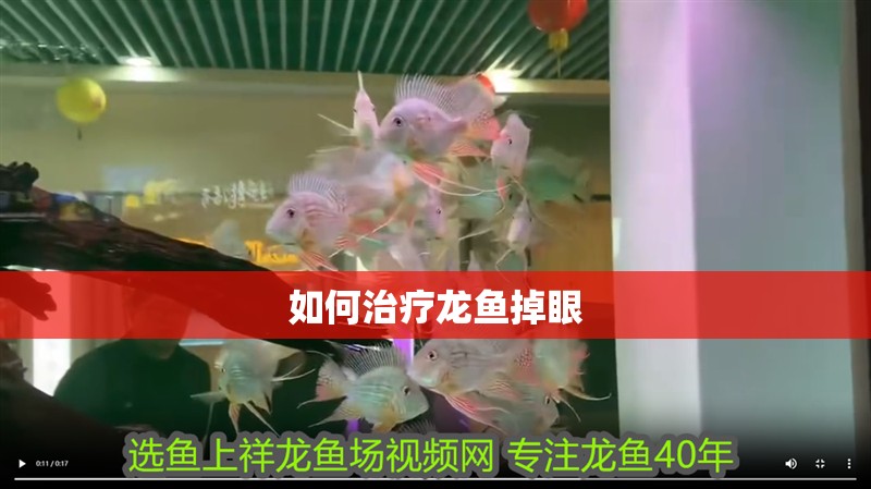 如何治療龍魚掉眼 如何治療龍魚掉眼 龍魚百科
