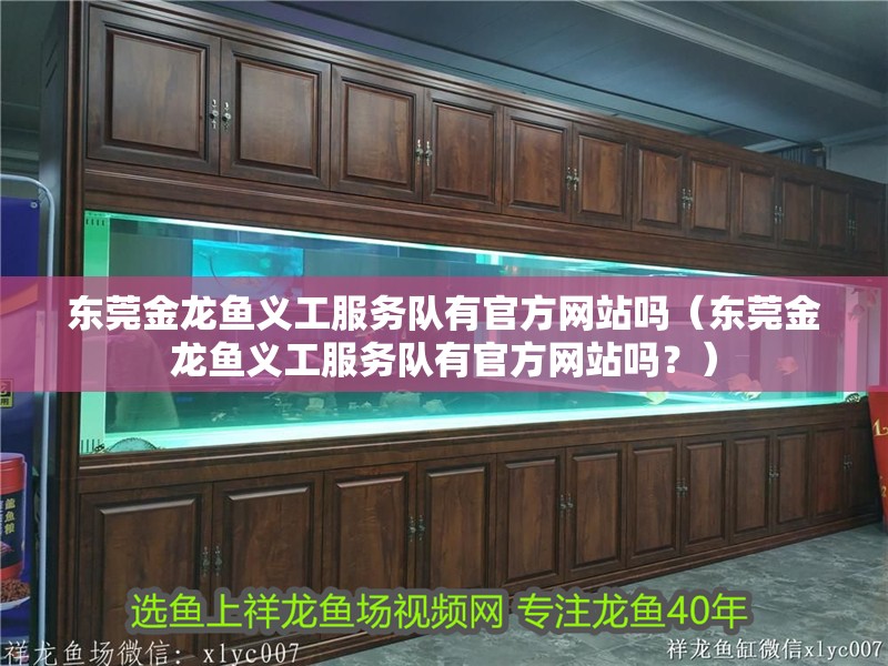 東莞金龍魚義工服務隊有官方網站嗎（東莞金龍魚義工服務隊有官方網站嗎？）