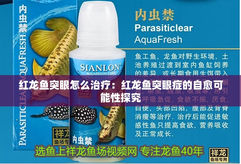 紅龍魚突眼怎么治療：紅龍魚突眼癥的自愈可能性探究