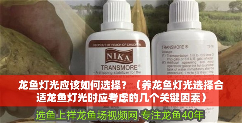 龍魚燈光應(yīng)該如何選擇？（養(yǎng)龍魚燈光選擇合適龍魚燈光時(shí)應(yīng)考慮的幾個(gè)關(guān)鍵因素）