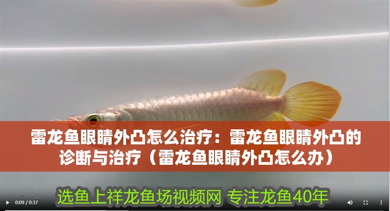 雷龍魚眼睛外凸怎么治療：雷龍魚眼睛外凸的診斷與治療（雷龍魚眼睛外凸怎么辦） 雷龍魚眼睛外凸怎么治療：雷龍魚眼睛外凸的診斷與治療（雷龍魚眼睛外凸怎么辦） 水族問答