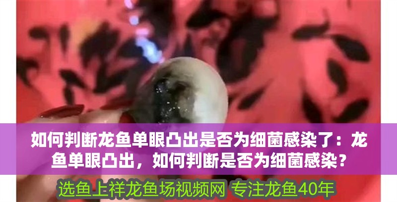 如何判斷龍魚單眼凸出是否為細菌感染了：龍魚單眼凸出，如何判斷是否為細菌感染？ 如何判斷龍魚單眼凸出是否為細菌感染了：龍魚單眼凸出，如何判斷是否為細菌感染？ 水族問答