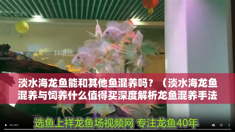 淡水海龍魚能和其他魚混養嗎？（淡水海龍魚混養與飼養什么值得買深度解析龍魚混養手法）