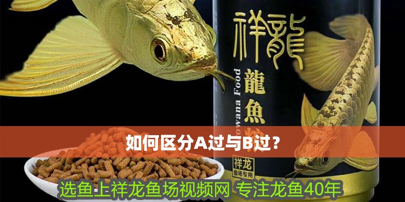 如何區分A過與B過？