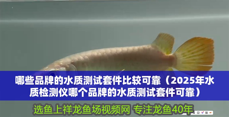 哪些品牌的水質測試套件比較可靠（2025年水質檢測儀哪個品牌的水質測試套件可靠）