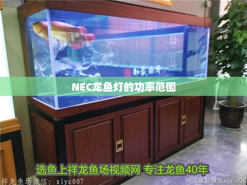 魚缸用增氧泵價格是多少:魚缸增氧機-xtrac增氧機-xtrac增氧機 NEC龍魚燈的功率范圍 龍魚百科 NEC龍魚燈的功率范圍 NEC龍魚燈的功率范圍 龍魚百科