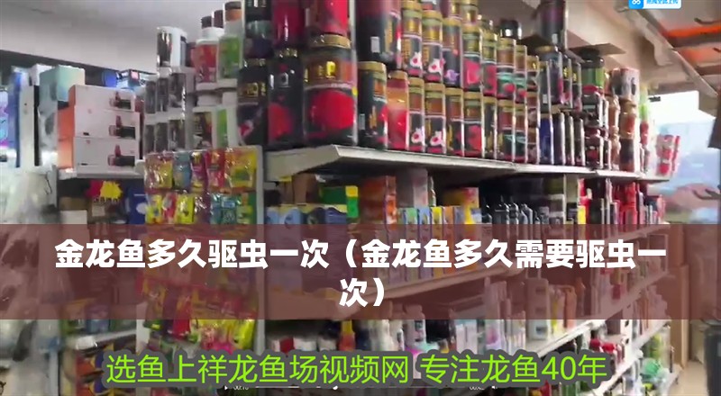 魚缸過濾器選購指南:自制魚缸過濾器魚缸上置過濾器對于養魚愛好者的必備知識 金龍魚多久驅蟲一次(金龍魚多久需要驅蟲一次) 龍魚百科 金龍魚多久驅蟲一次(金龍魚多久需要驅蟲一次) 金龍魚多久驅蟲一次(金龍魚多久需要驅蟲一次) 龍魚百科