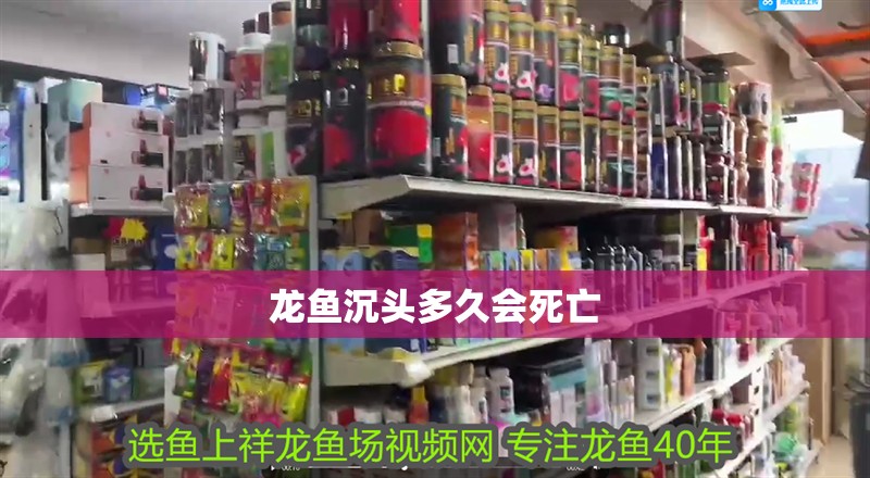 龍魚沉頭多久會死亡 龍魚沉頭多久會死亡 龍魚百科