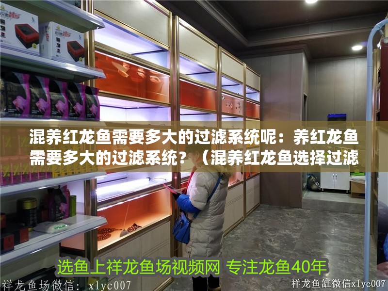 混養紅龍魚需要多大的過濾系統呢：養紅龍魚需要多大的過濾系統？（混養紅龍魚選擇過濾系統）
