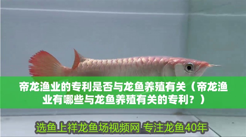 帝龍漁業的專利是否與龍魚養殖有關（帝龍漁業有哪些與龍魚養殖有關的專利？）