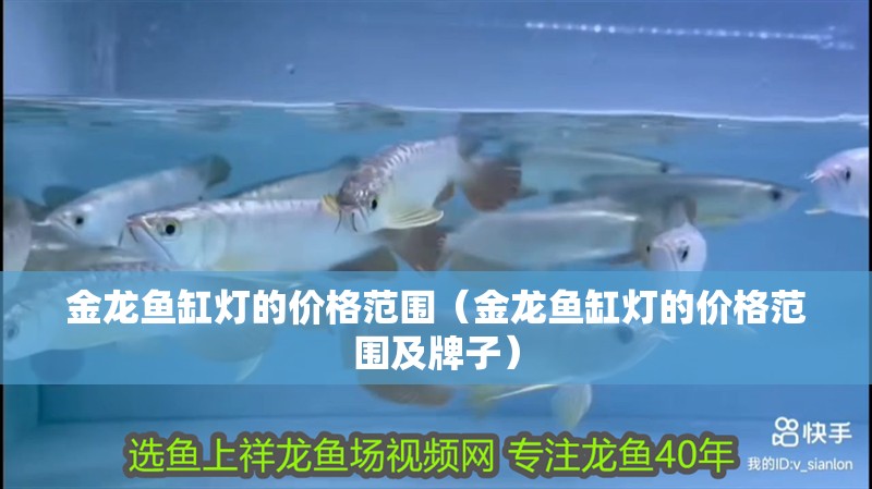 金龍魚缸燈的價格范圍（金龍魚缸燈的價格范圍及牌子）