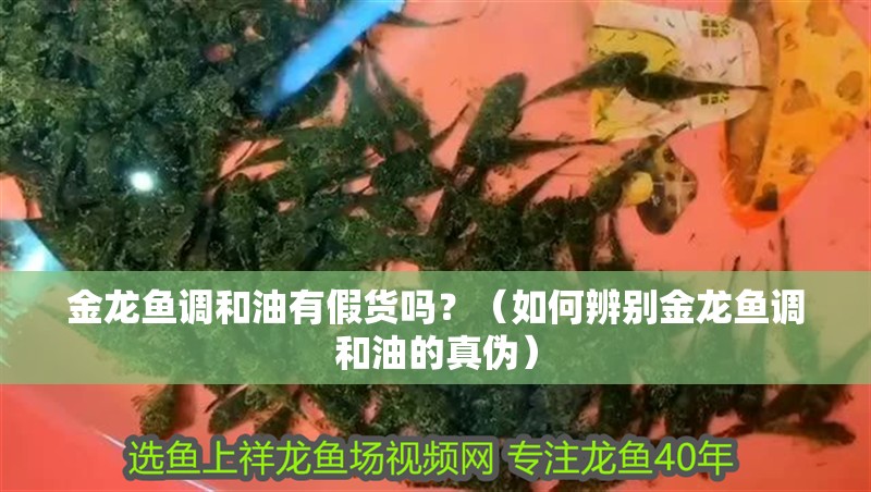 金龍魚調和油有假貨嗎？（如何辨別金龍魚調和油的真偽）