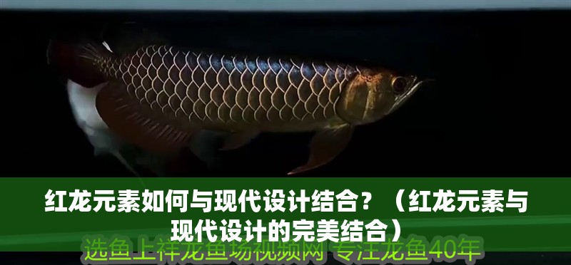 紅龍元素如何與現代設計結合？（紅龍元素與現代設計的完美結合）