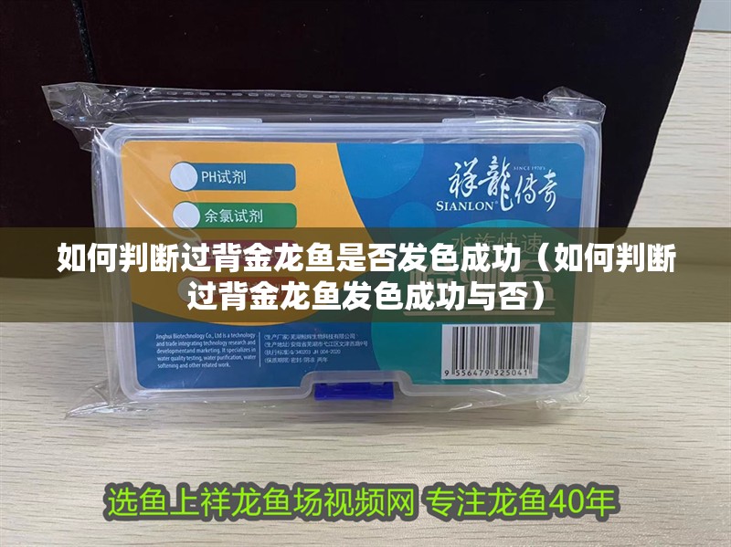 如何判斷過背金龍魚是否發色成功（如何判斷過背金龍魚發色成功與否）