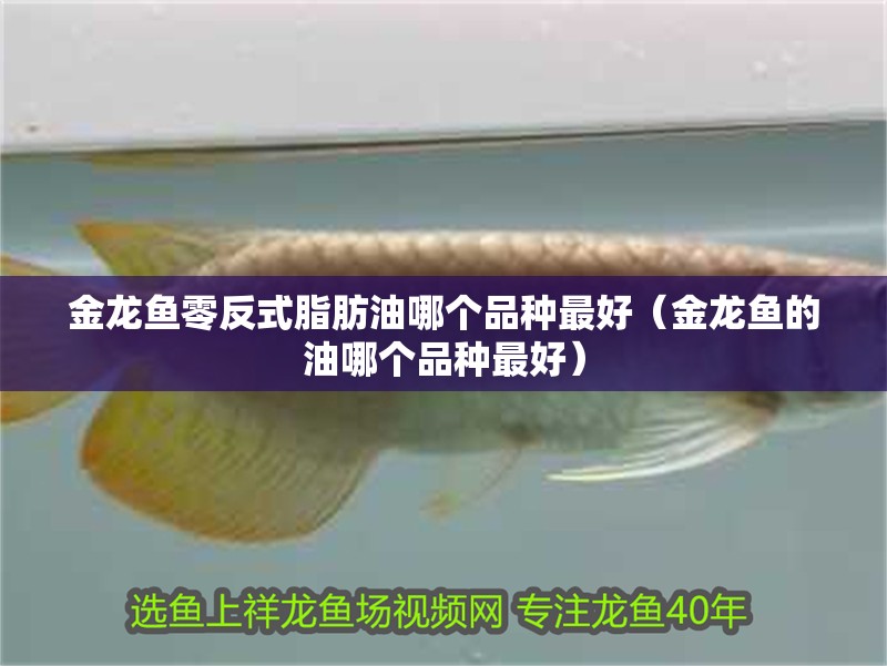 魚缸用增氧泵價格是多少:魚缸增氧機-xtrac增氧機-xtrac增氧機 金龍魚零反式脂肪油哪個品種最好(金龍魚的油哪個品種最好) 龍魚百科 金龍魚零反式脂肪油哪個品種最好(金龍魚的油哪個品種最好) 金龍魚零反式脂肪油哪個品種最好(金龍魚的油哪個品種最好) 龍魚百科