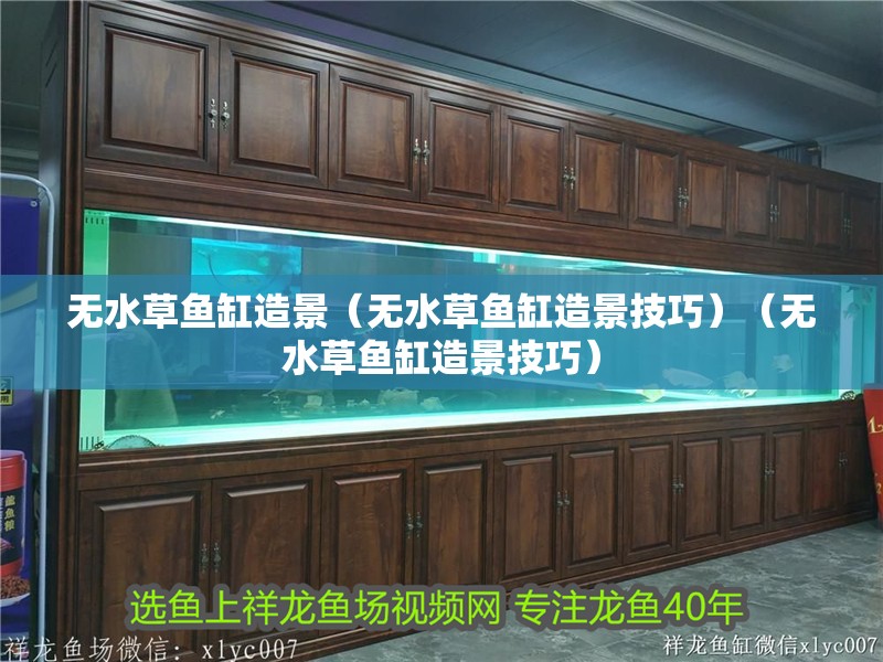 無(wú)水草魚(yú)缸造景（無(wú)水草魚(yú)缸造景技巧）（無(wú)水草魚(yú)缸造景技巧）