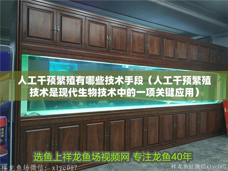 人工干預繁殖有哪些技術手段（人工干預繁殖技術是現代生物技術中的一項關鍵應用） 人工干預繁殖有哪些技術手段（人工干預繁殖技術是現代生物技術中的一項關鍵應用） 龍魚百科