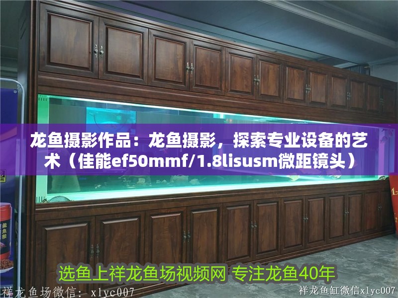 龍魚攝影作品：龍魚攝影，探索專業(yè)設(shè)備的藝術(shù)（佳能ef50mmf/1.8lisusm微距鏡頭）