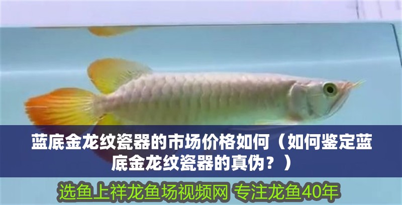 藍底金龍紋瓷器的市場價格如何（如何鑒定藍底金龍紋瓷器的真偽？）