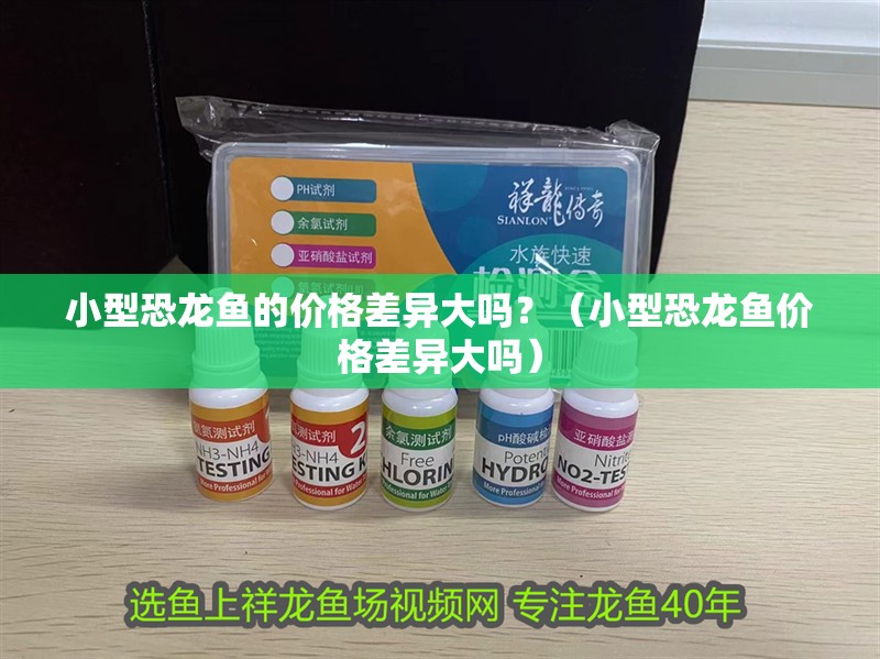 小型恐龍魚的價格差異大嗎？（小型恐龍魚價格差異大嗎）