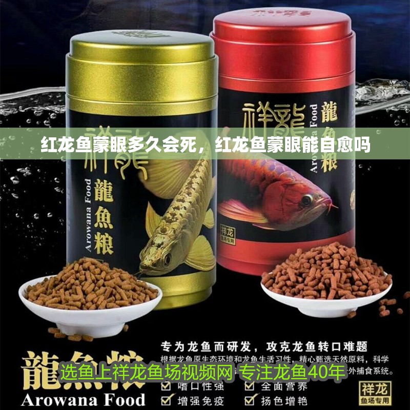 紅龍魚蒙眼多久會(huì)死，紅龍魚蒙眼能自愈嗎