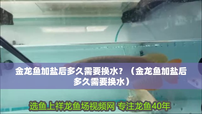 金龍魚加鹽后多久需要換水？（金龍魚加鹽后多久需要換水）