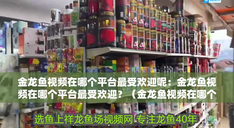 金龍魚視頻在哪個平臺最受歡迎呢：金龍魚視頻在哪個平臺最受歡迎？（金龍魚視頻在哪個平臺上最受歡迎？） 金龍魚視頻在哪個平臺最受歡迎呢：金龍魚視頻在哪個平臺最受歡迎？（金龍魚視頻在哪個平臺上最受歡迎？） 水族問答