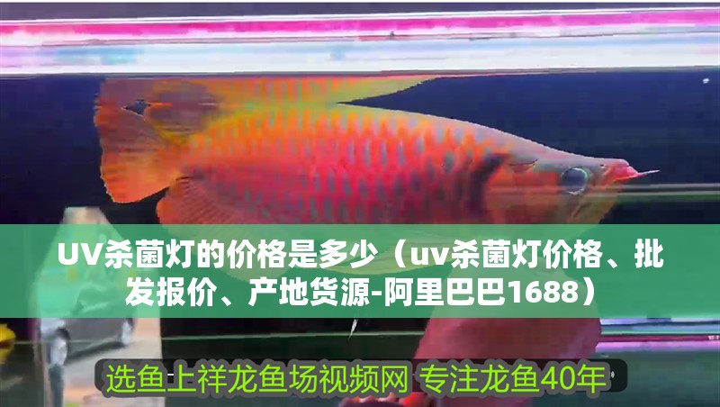 UV殺菌燈的價格是多少（uv殺菌燈價格、批發報價、產地貨源-阿里巴巴1688）