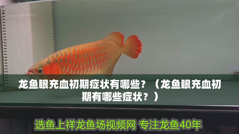 龍魚眼充血初期癥狀有哪些？（龍魚眼充血初期有哪些癥狀？）