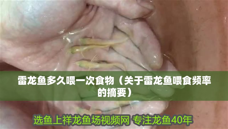 雷龍魚多久喂一次食物(關于雷龍魚喂食頻率的摘要) 龍魚百科 雷龍魚多久喂一次食物(關于雷龍魚喂食頻率的摘要) 雷龍魚多久喂一次食物(關于雷龍魚喂食頻率的摘要) 龍魚百科