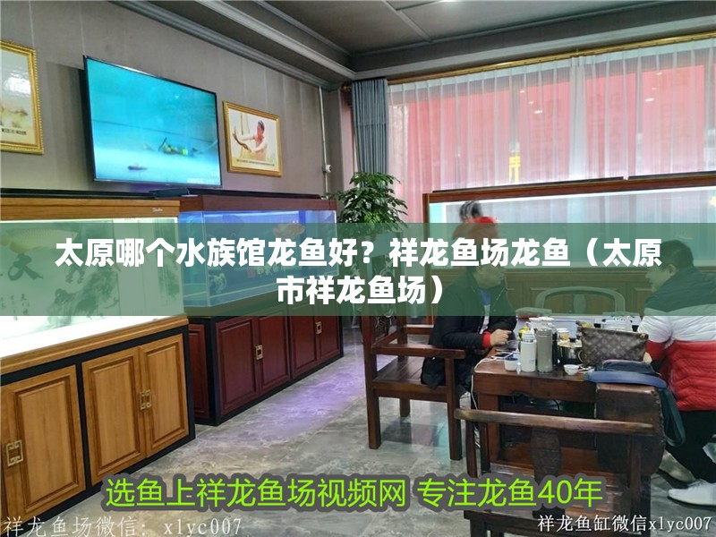 太原哪個水族館龍魚好？祥龍魚場龍魚（太原市祥龍魚場）