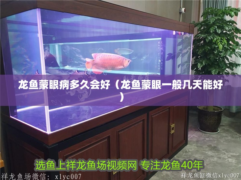龍魚蒙眼病多久會(huì)好（龍魚蒙眼一般幾天能好）