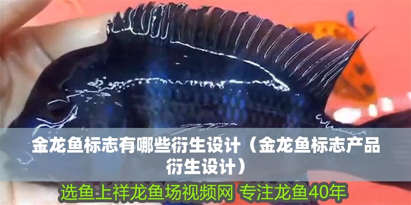 金龍魚標志有哪些衍生設計（金龍魚標志產品衍生設計）
