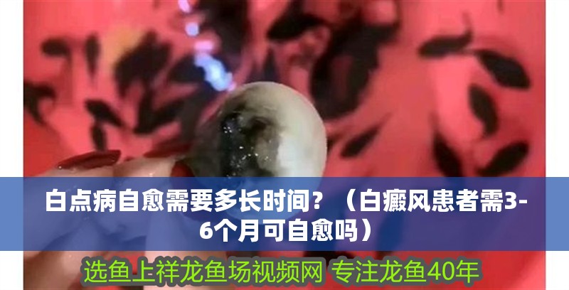 白點病自愈需要多長時間？（白癜風患者需3-6個月可自愈嗎）