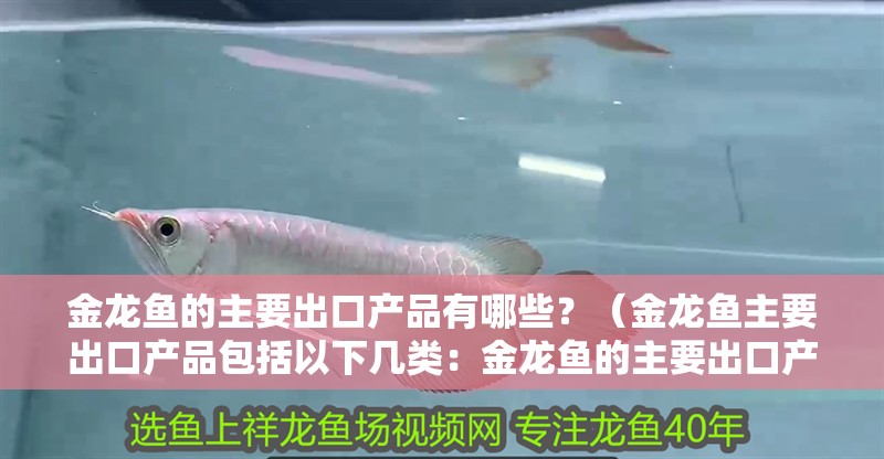 金龍魚的主要出口產品有哪些？（金龍魚主要出口產品包括以下幾類：金龍魚的主要出口產品）