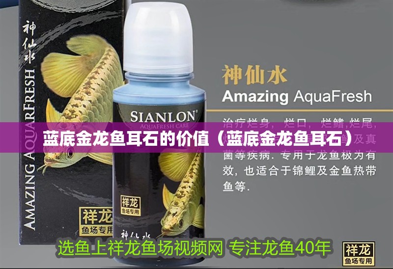 藍底金龍魚耳石的價值（藍底金龍魚耳石）