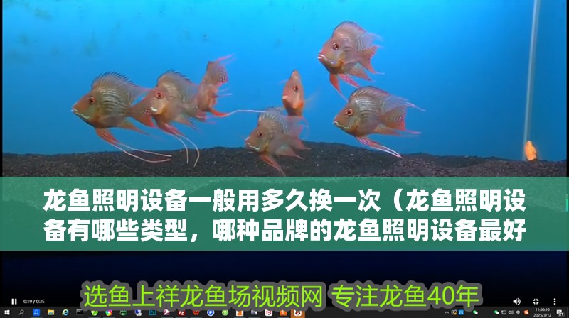 龍魚照明設備一般用多久換一次（龍魚照明設備有哪些類型，哪種品牌的龍魚照明設備最好？）