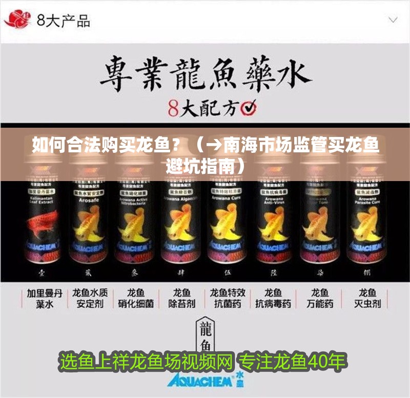 如何合法購買龍魚？（→<strong><mark>南海</mark></strong>市場監管買龍魚避坑指南）