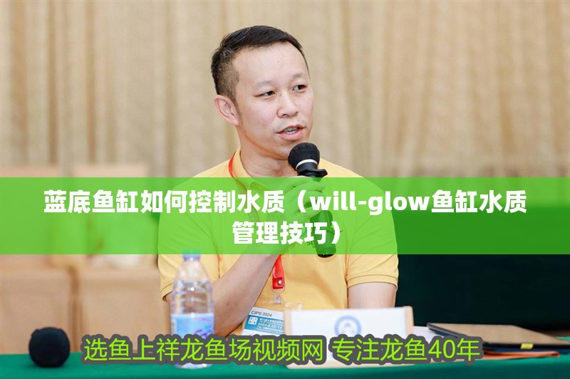 藍底魚缸如何控制水質（will-glow魚缸水質管理技巧）