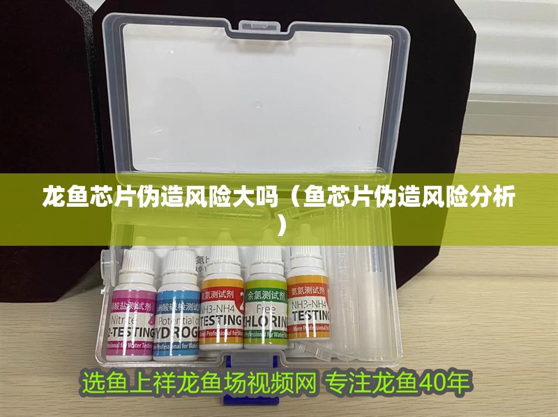 印尼虎魚多少溫度飼養最好:印尼虎魚多少溫度飼養最好印尼虎魚多少溫度飼養最好 龍魚芯片偽造風險大嗎(魚芯片偽造風險分析) 龍魚百科 龍魚芯片偽造風險大嗎(魚芯片偽造風險分析) 龍魚芯片偽造風險大嗎(魚芯片偽造風險分析) 龍魚百科